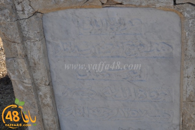 WhatsApp Image 2022-05-25 at 1.01.43 PM (1).jpg